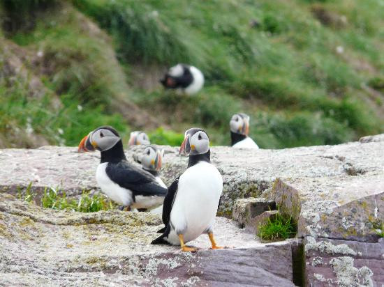 Elaine's Bed and Breakfast By The Sea主图