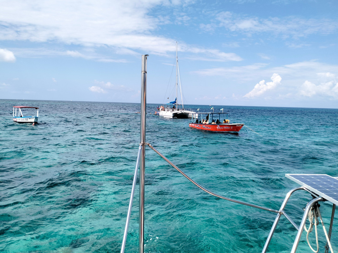 YaMon Red Stripe Catamaran Cruises景点图片