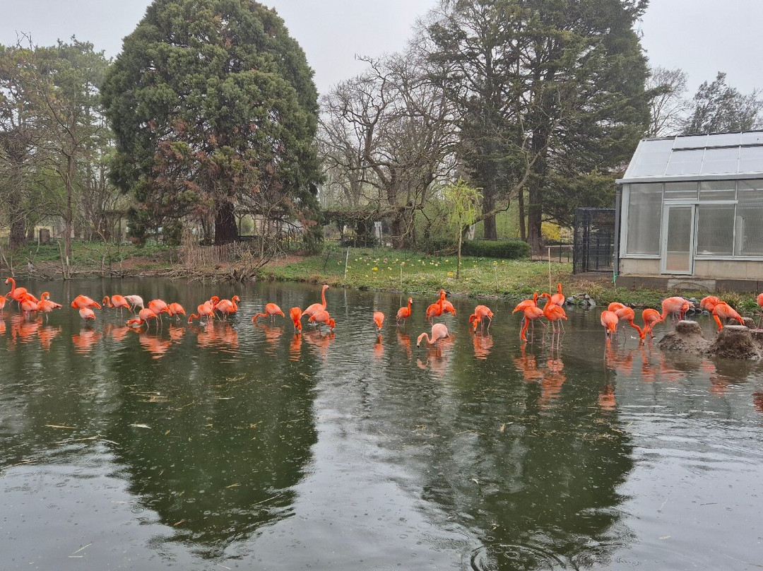 Zoo Heidelberg-海德尔堡必去景点