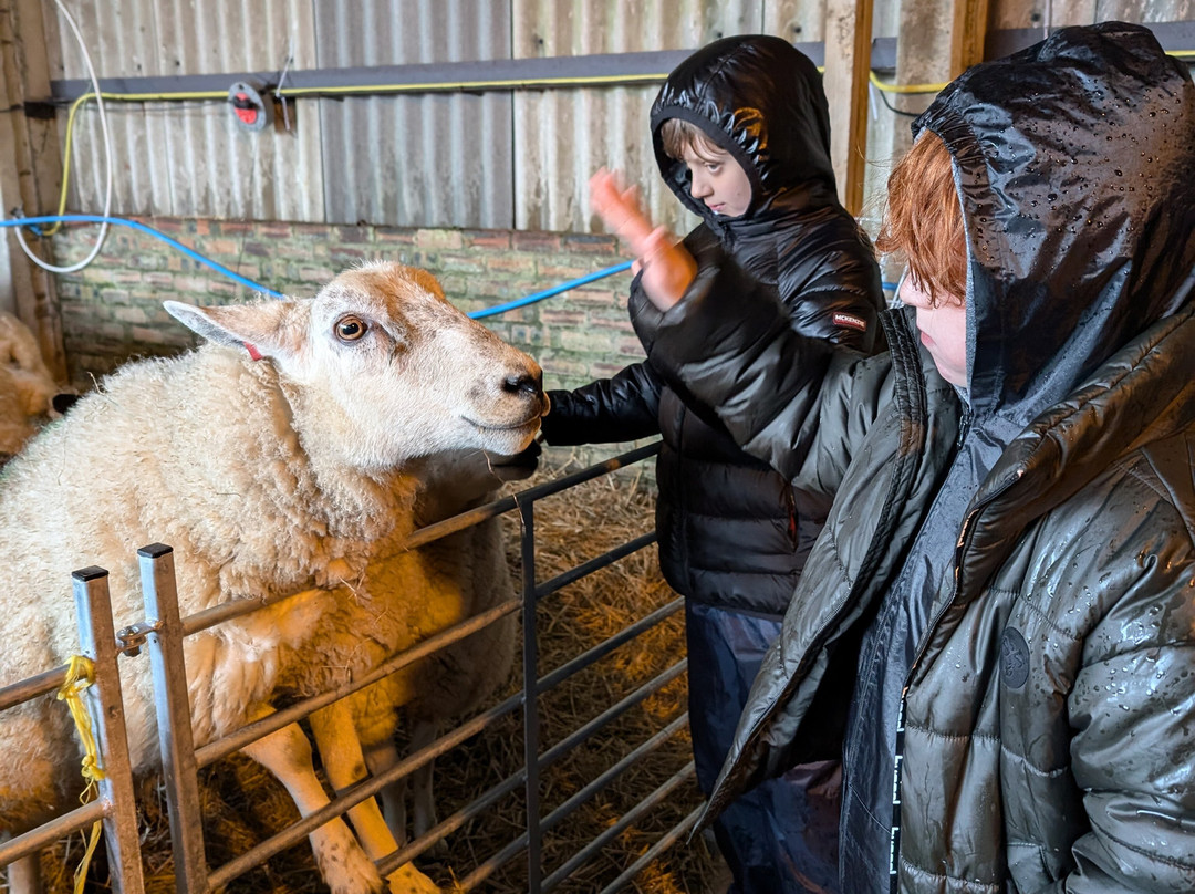 Craigbank Farm景点图片