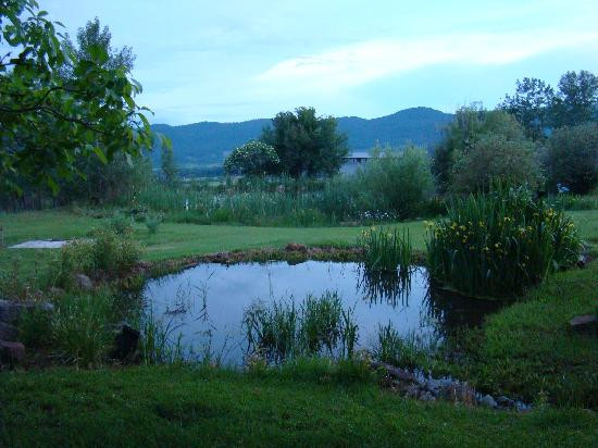 Clear Creek Farm主图