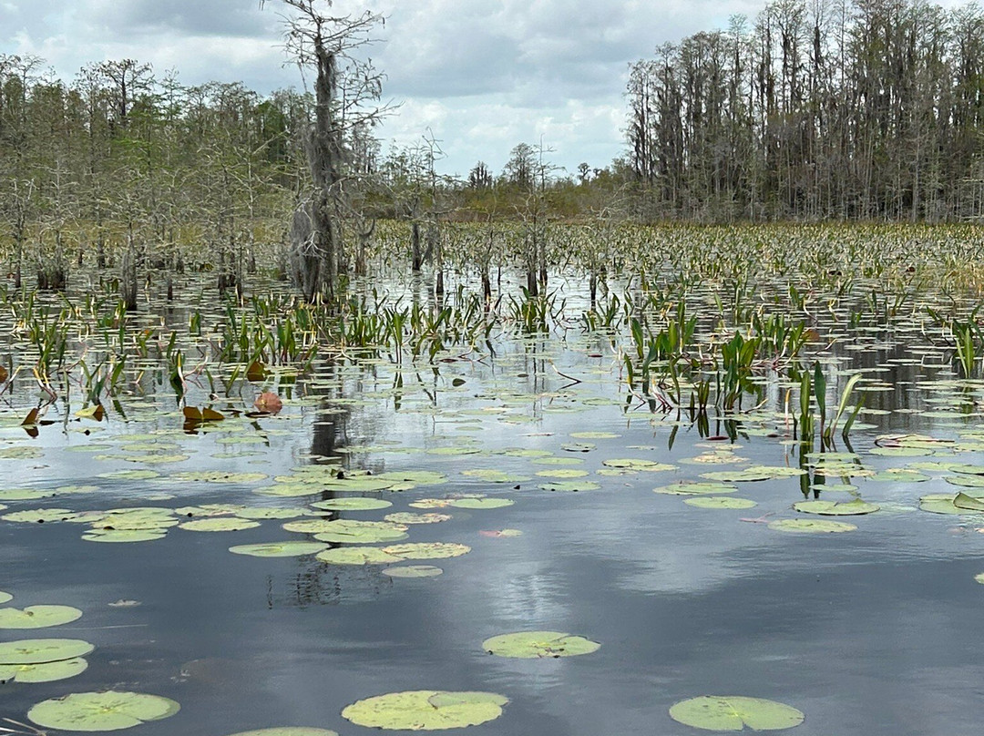 Okefenokee National Wildlife Refuge-Folkston必去景点