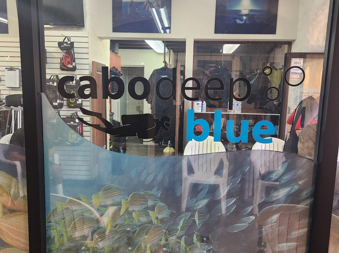 Cabo Deep Blue-卡波圣卢卡斯必去景点