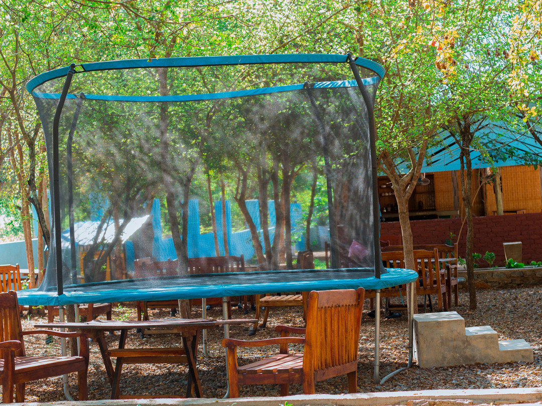 Mkomazi Hotels and Campsite主图