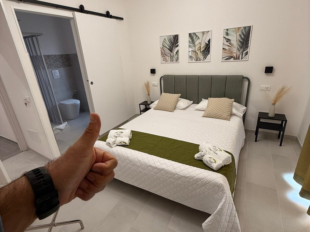Vida Rooms