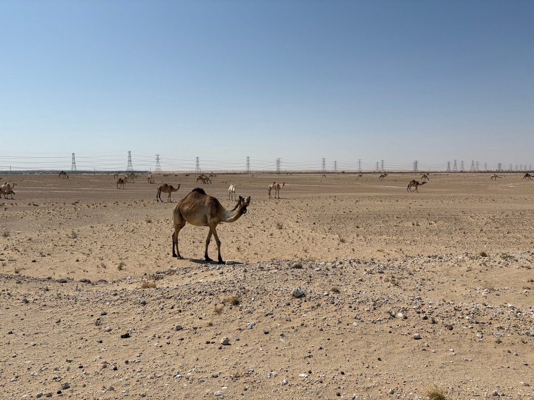 Adventure Gate Dubai-迪拜必去景点