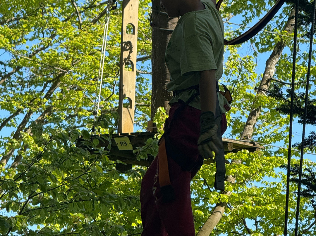Parc Aventure Chaumont-Chaumont-de-Pury必去景点