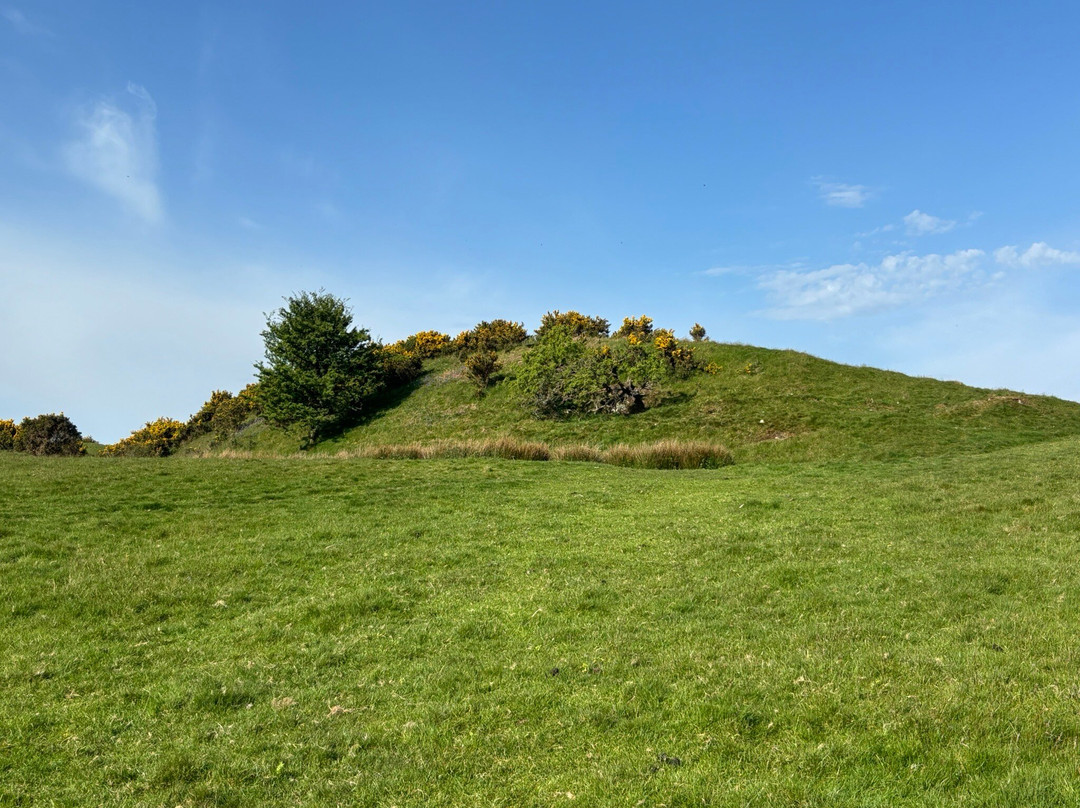 Warbstow Bury-朗塞斯顿必去景点