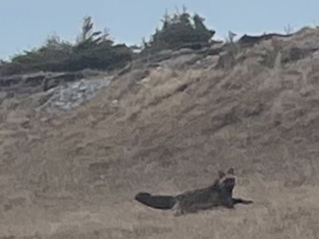 Baie Ellis Range Rear Lighthouse-Port-Menier必去景点