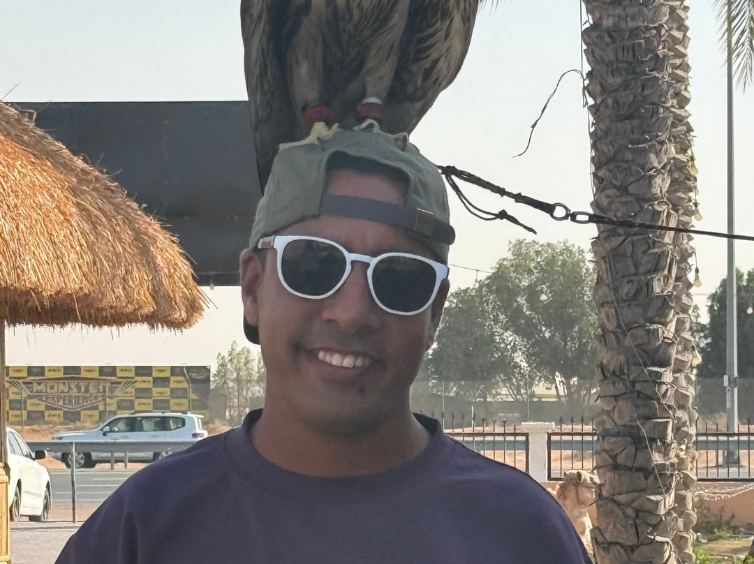 Airlane Travel & Tours-大湾必去景点