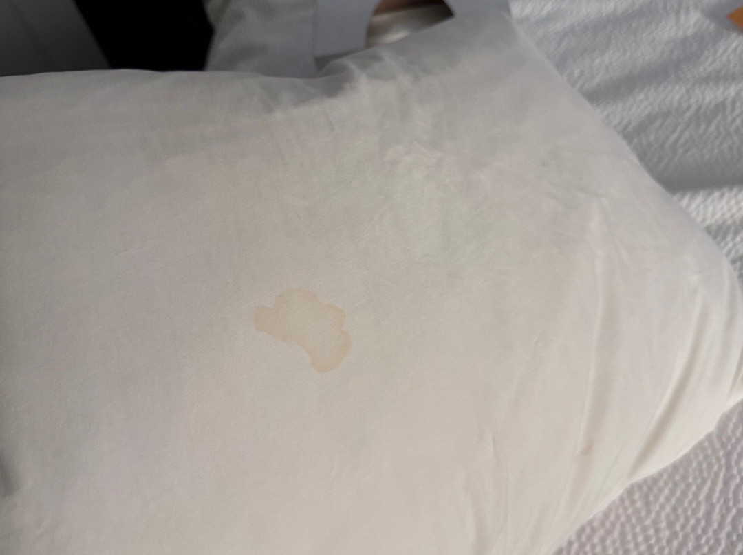 SpringHill Suites by Marriott Jacksonville North I-95 Area主图