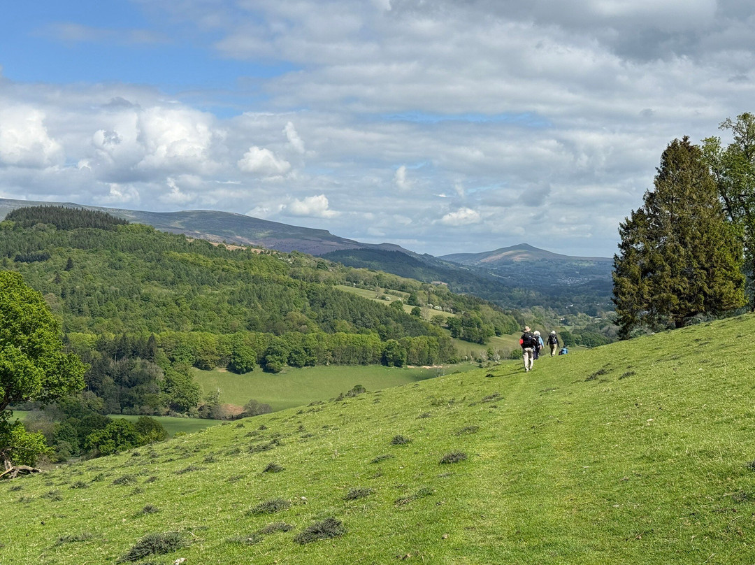 The Star Bunkhouse主图