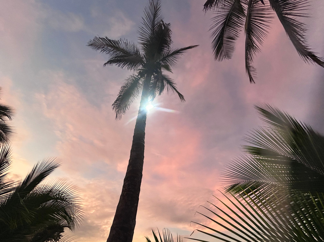 Kalkonu Travel-Ciudad Colon必去景点