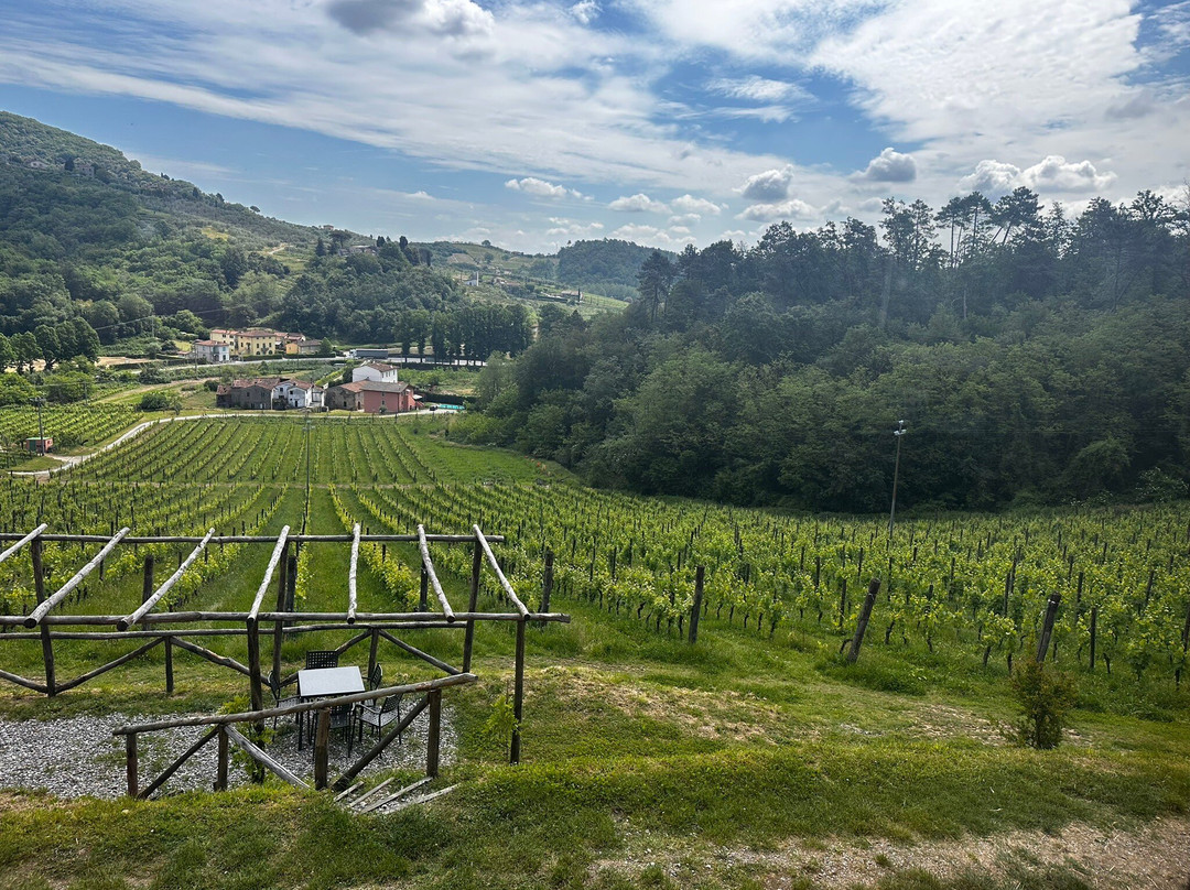 Tenuta Adamo Winery-卢卡必去景点