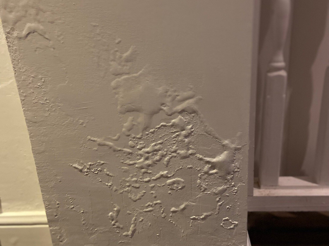 亚特兰蒂斯酒店主图