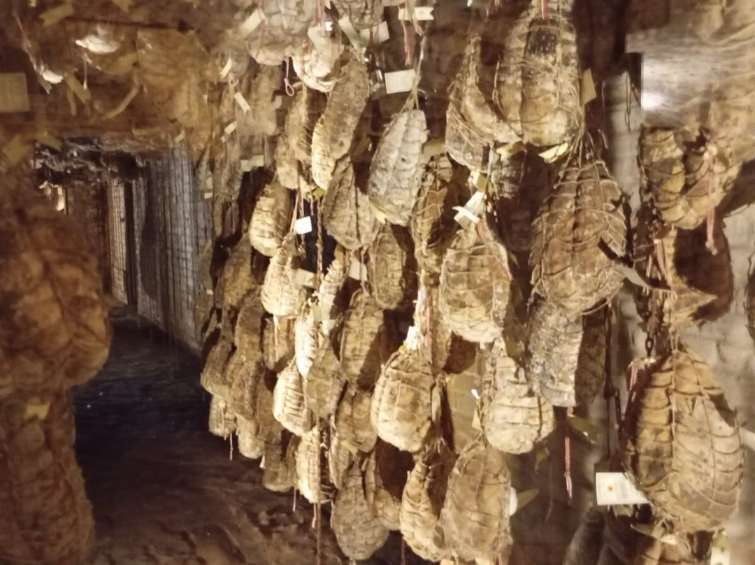 Museo Del Culatello-Polesine Parmense必去景点