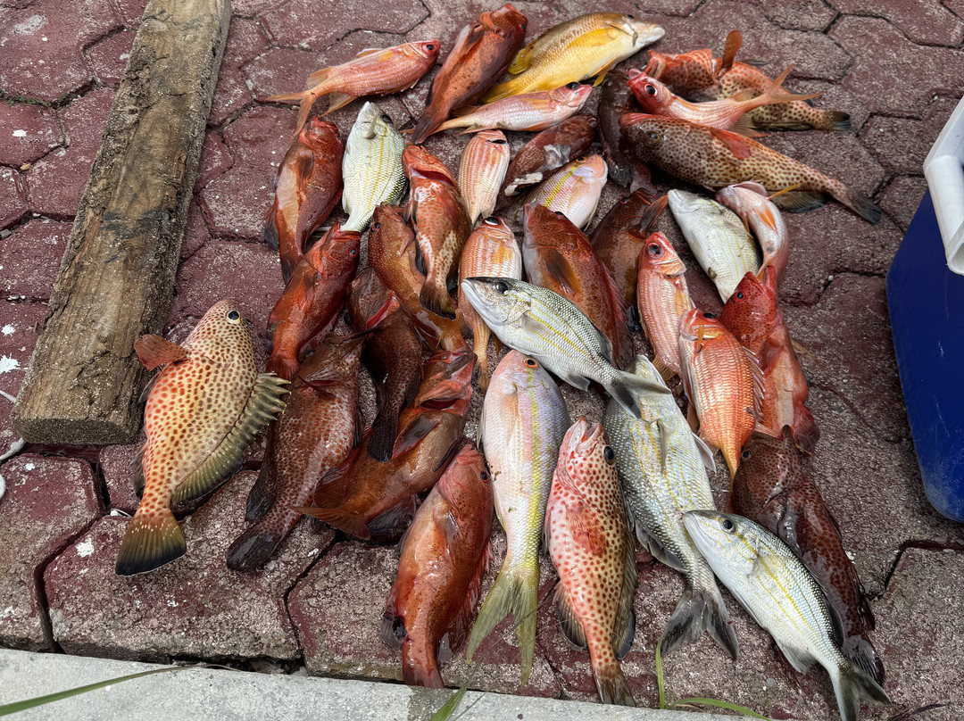 Sugar Island Tours-Jolly Harbour必去景点