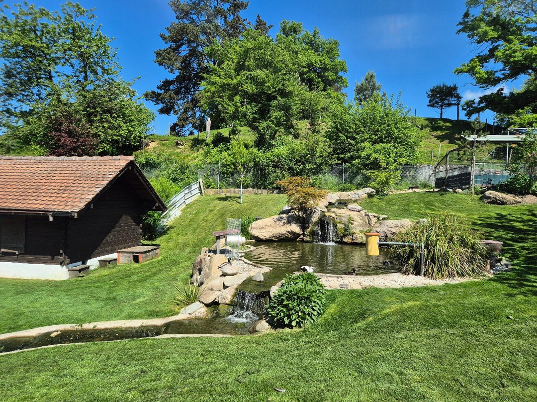 Ferme De La Fondation St-barthélemy-St-Barthelemy必去景点