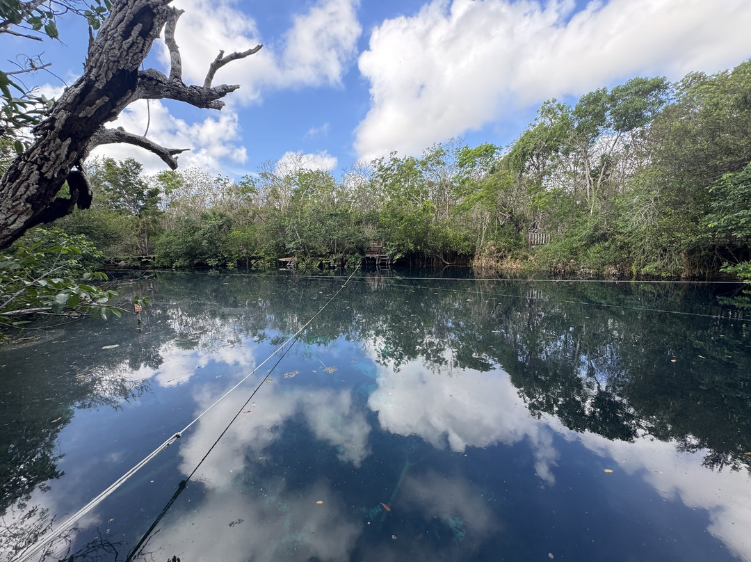 Blue Experience Diving-艾库玛尔必去景点