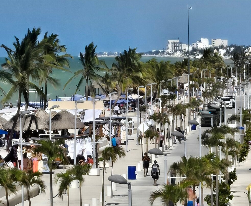 Hotel & Suites Domani主图