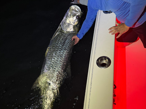 Florida Inshore Xtream Charters-Boca Grande必去景点