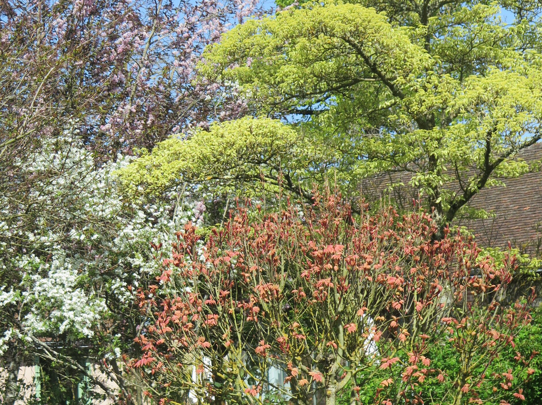 Jardin de la Duchaylatiere-Lanneray必去景点
