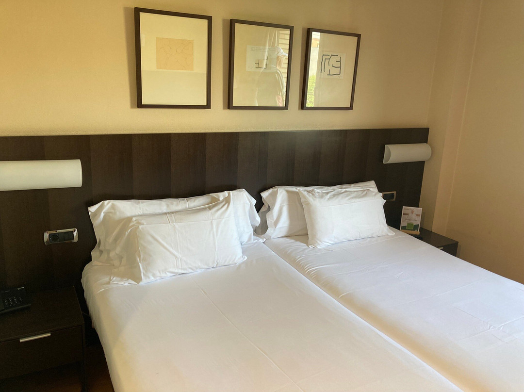 图德拉巴德纳斯酒店主图