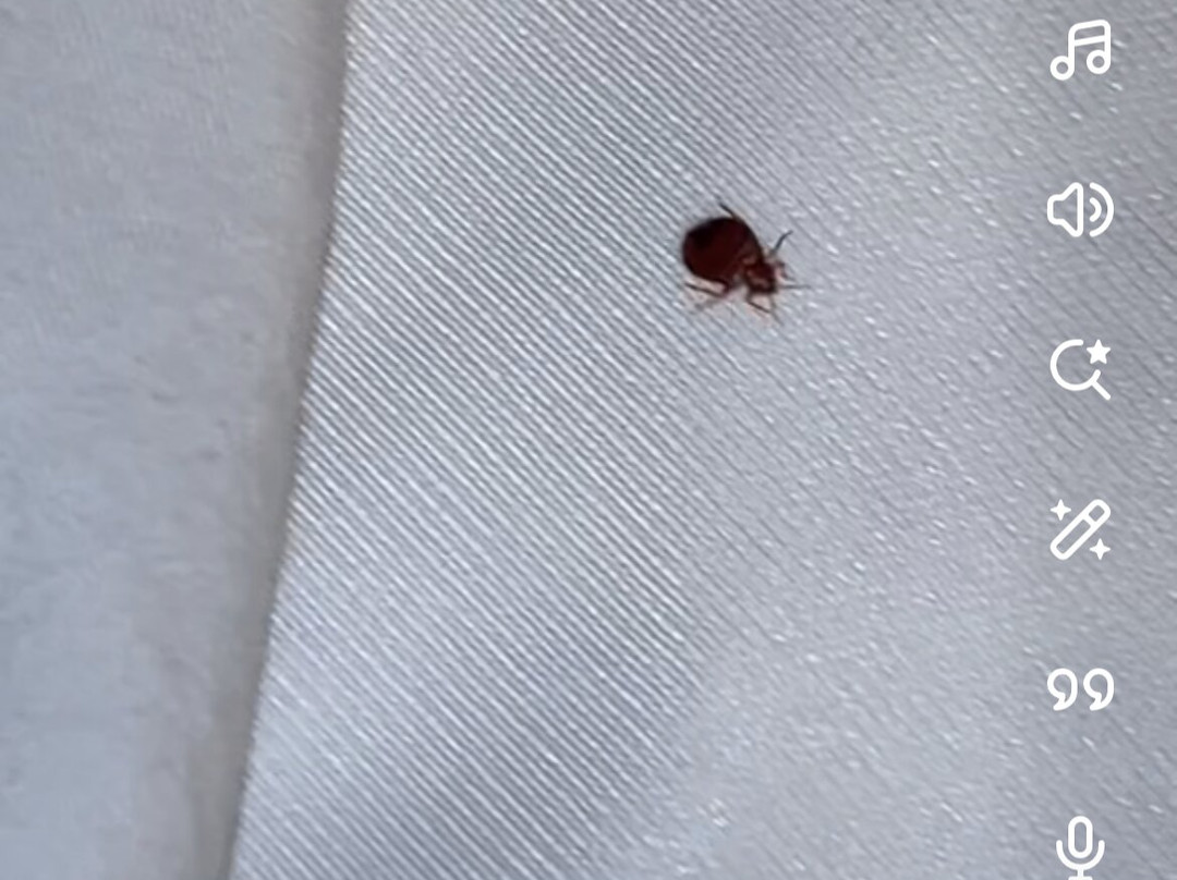 Best Western Eufaula Inn主图