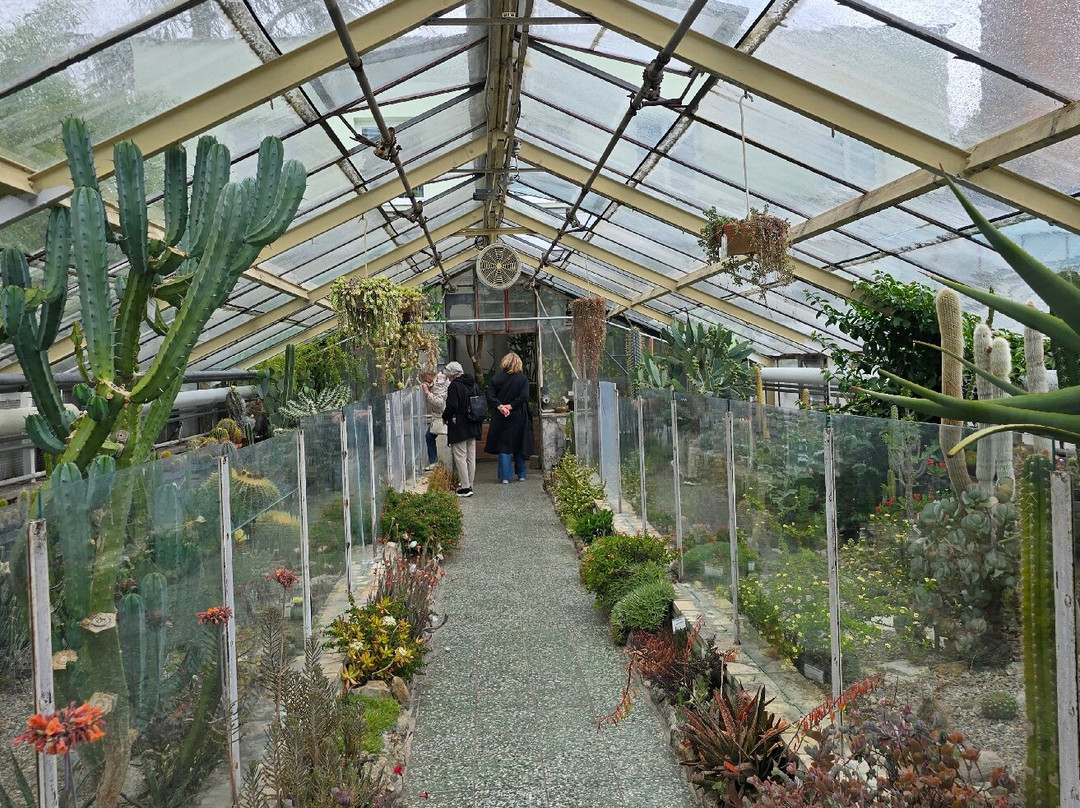 Botanical Garden-布拉迪斯拉发必去景点