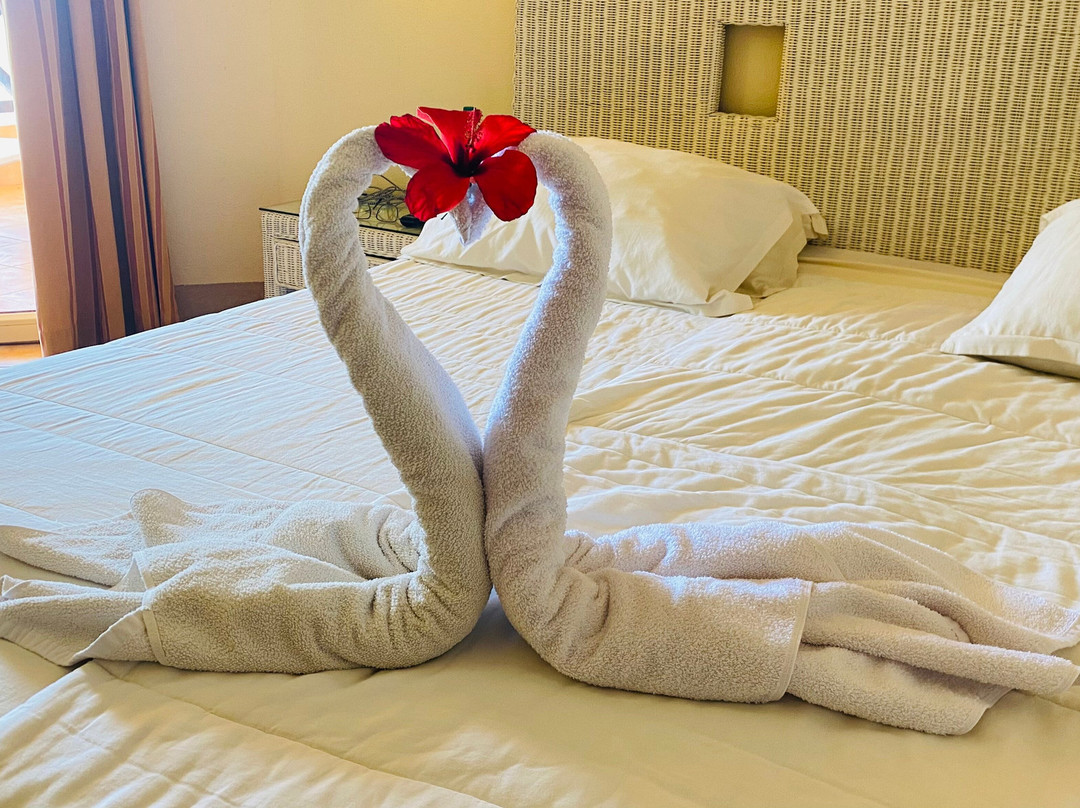 伊波罗之星萨费拉棕榈酒店主图