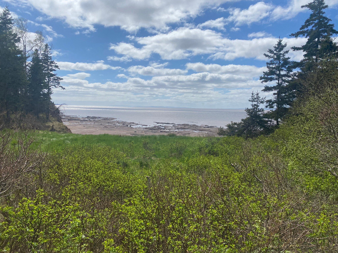 Burntcoat Head Park-Noel必去景点