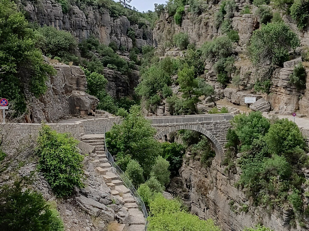 Excursion Mania景点图片