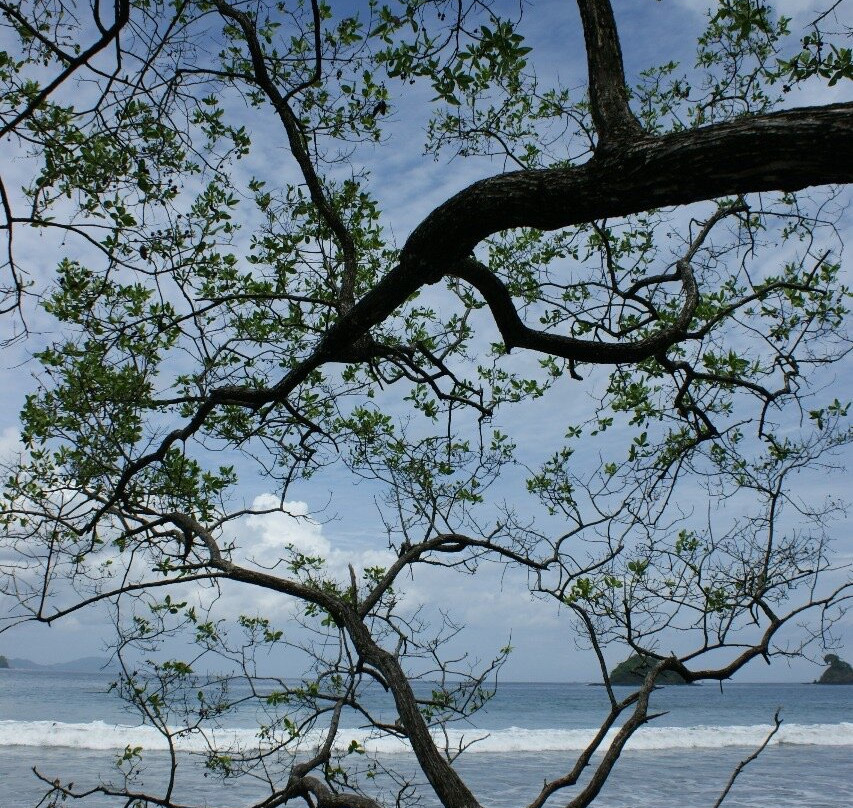 Playa Danta景点图片