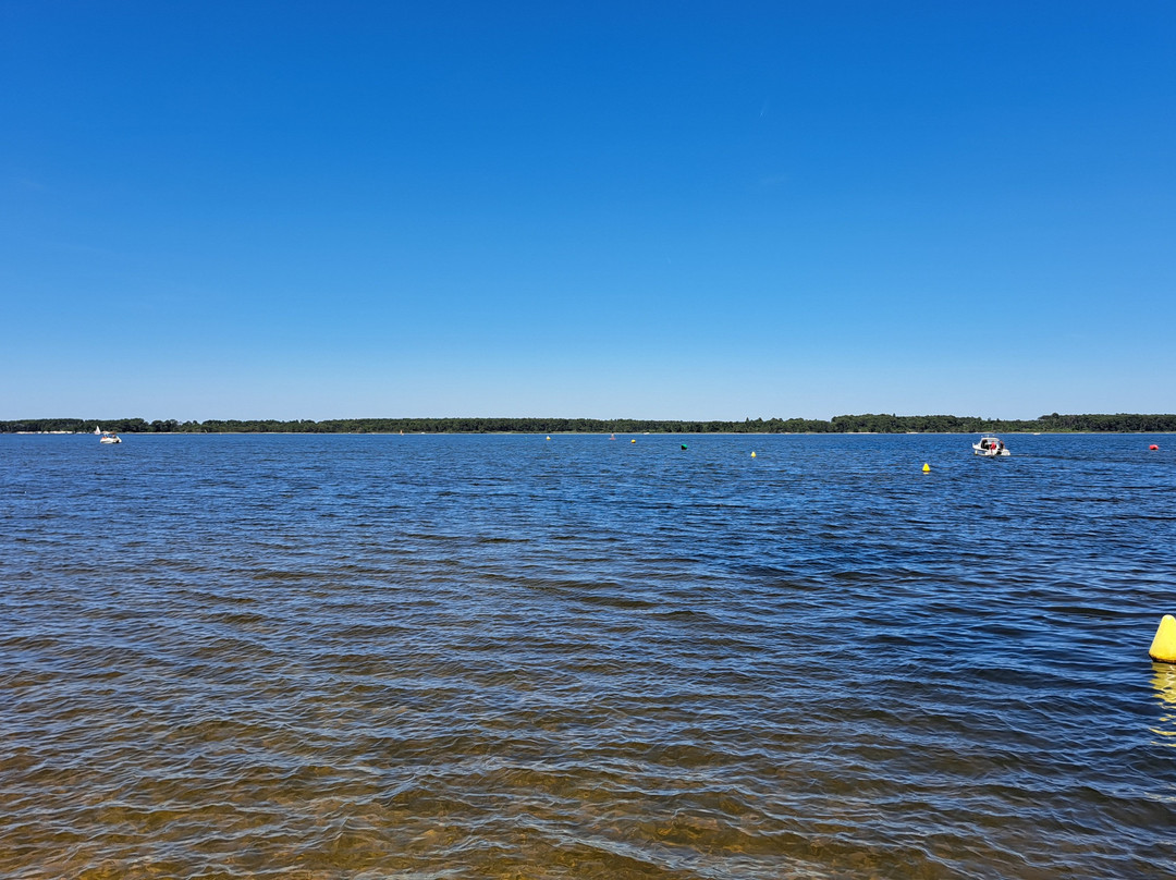 Les Arums de Sanguinet主图