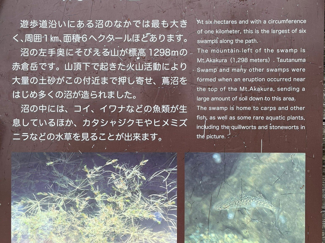Tsutanuma Pond-十和田市必去景点