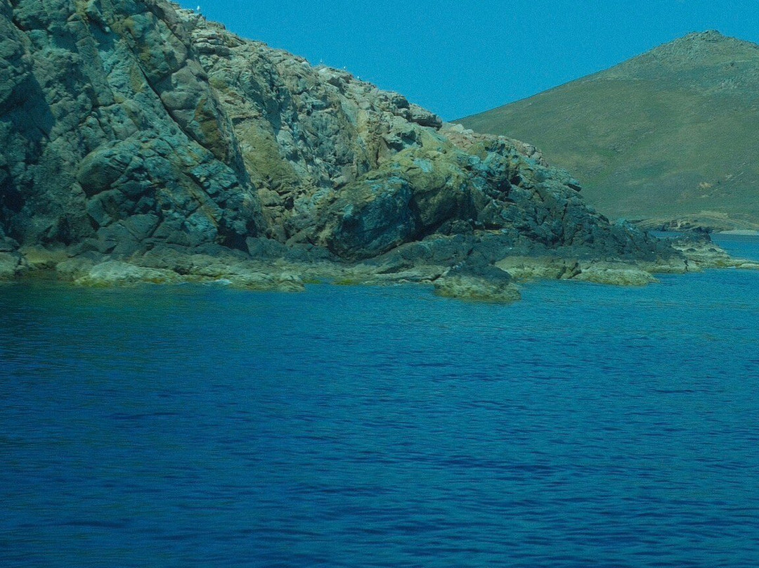 Lemnos Fishing Trips景点图片