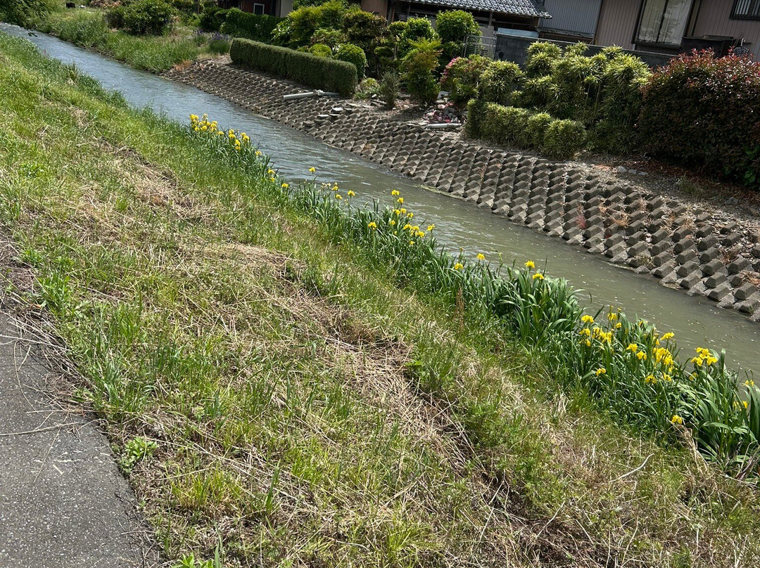 Onocho Rose Park-小野町必去景点