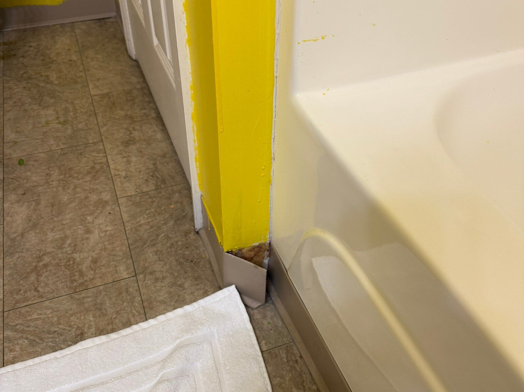 Douglas Inn & Suites主图