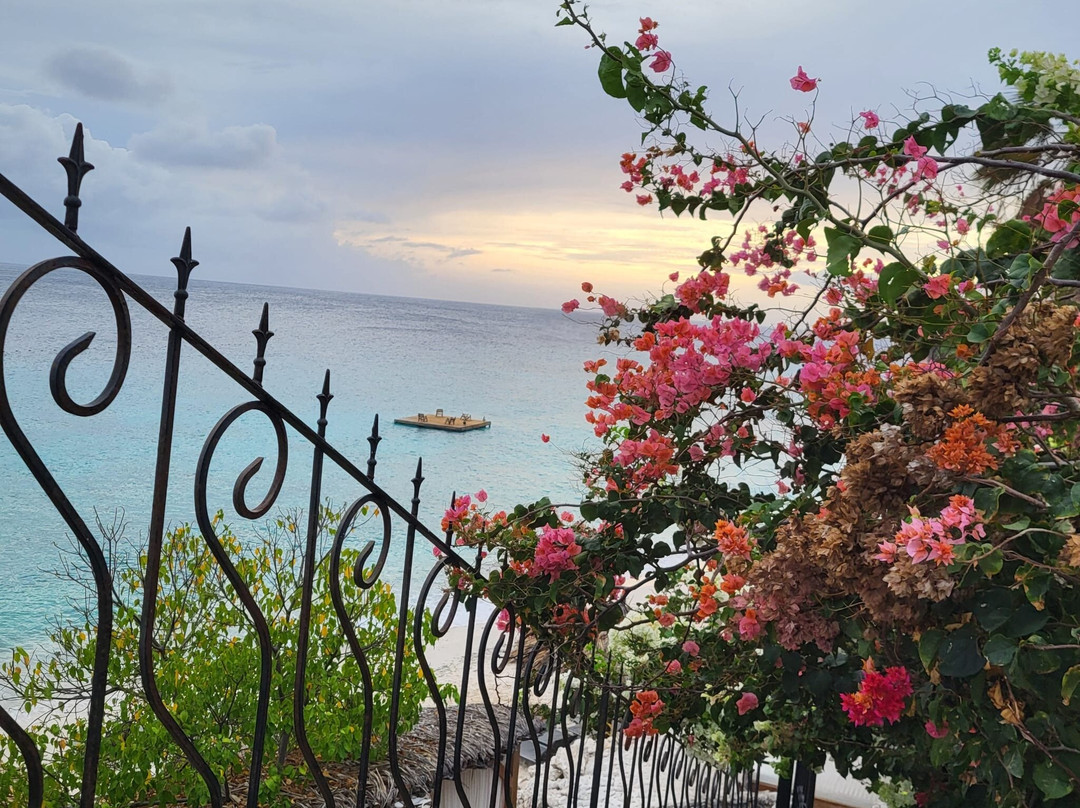 Playa Beach Club Curacao-Sabana Westpunt必去景点