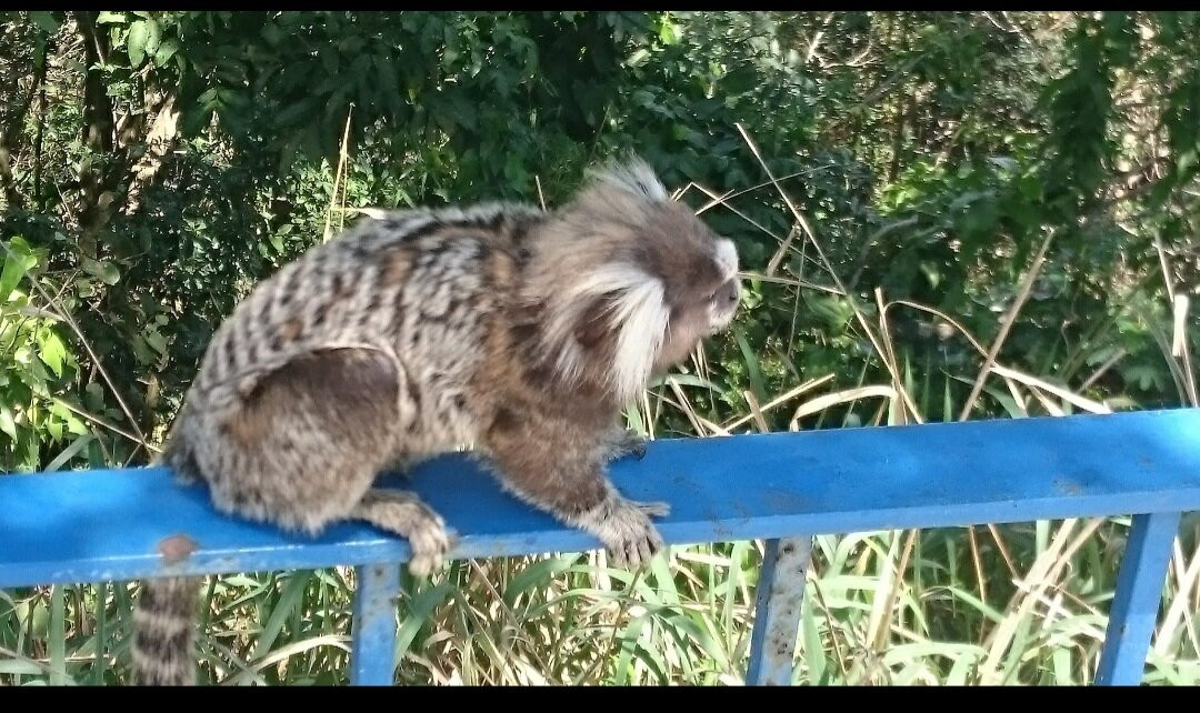 Forte Duque de Caxias-里约热内卢必去景点