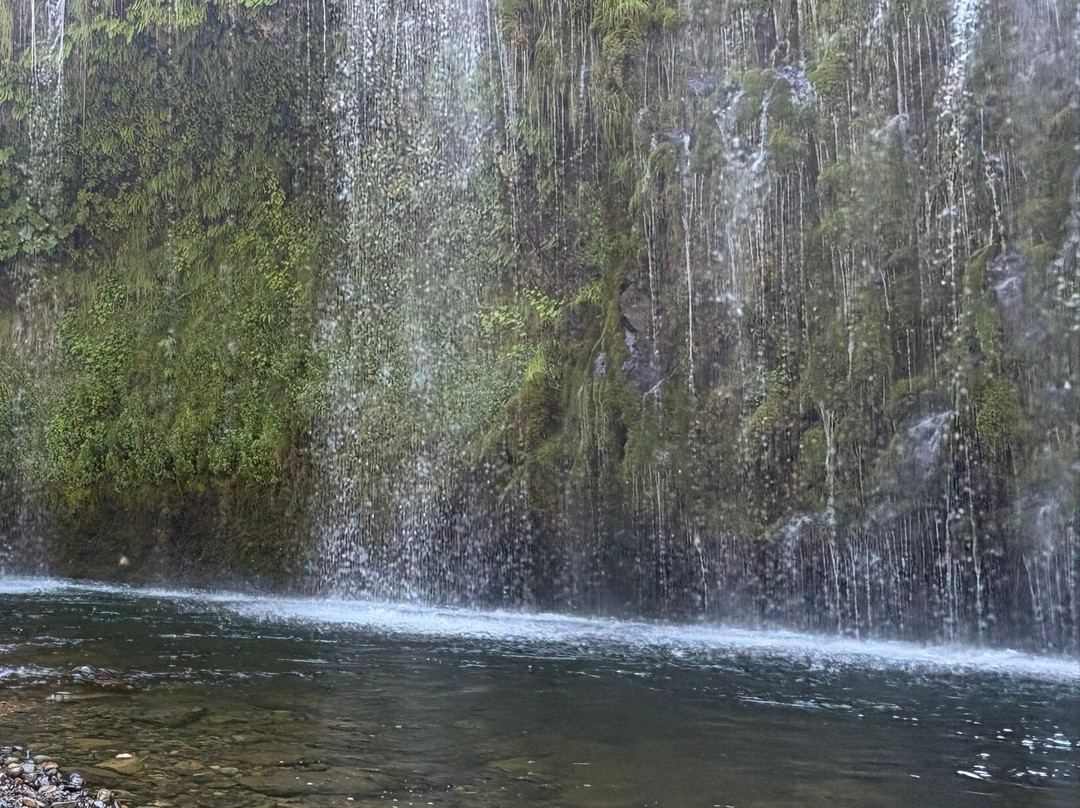 Mossbrae Falls景点图片