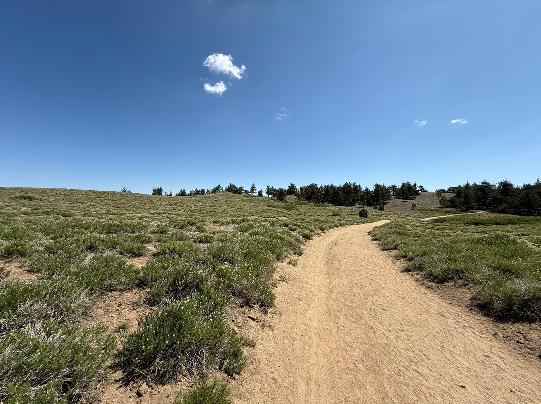 Mt. Pinos-Frazier Park必去景点
