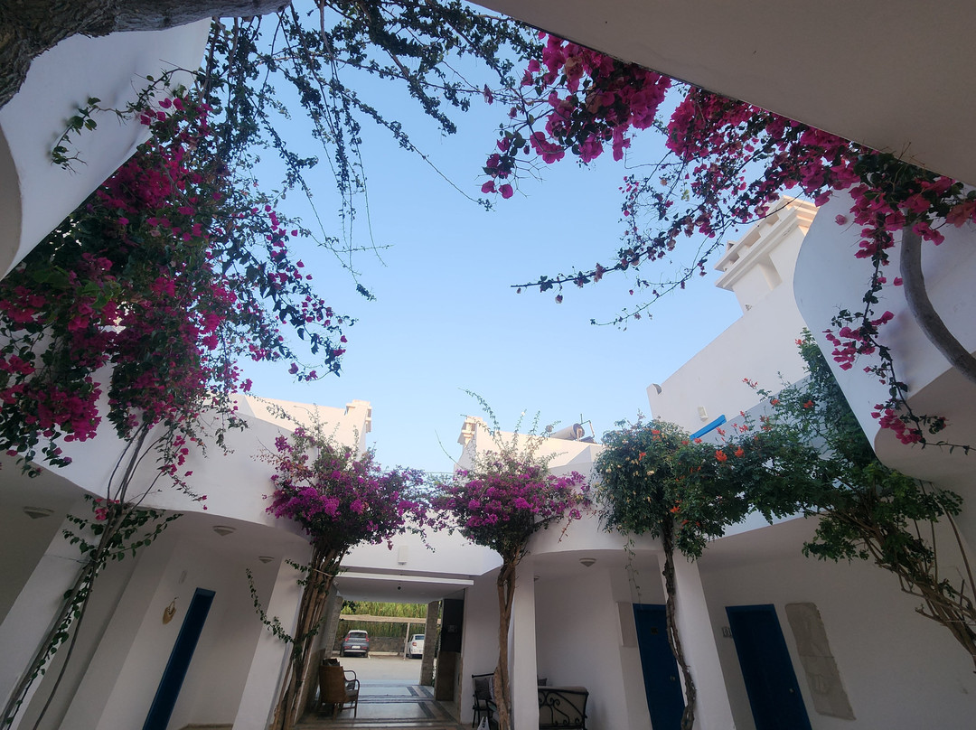 Ladonia Hotels Zemda主图