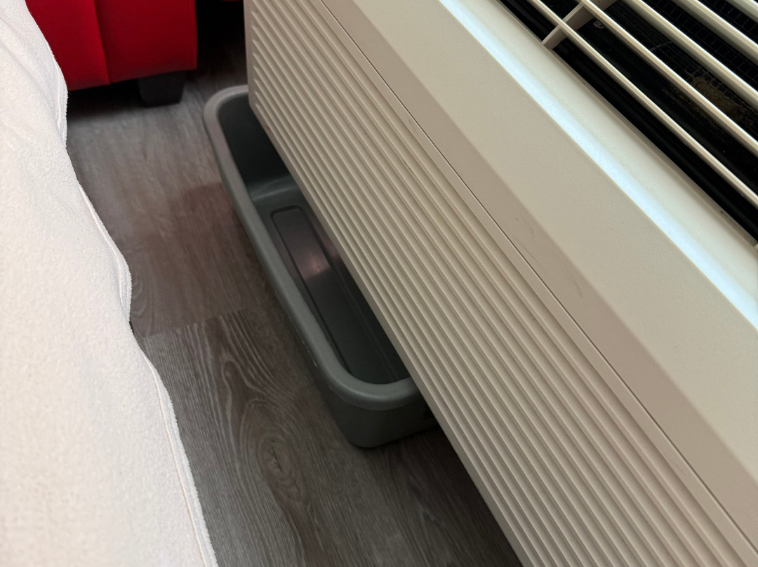 SureStay Plus By Best Western Kincardine主图