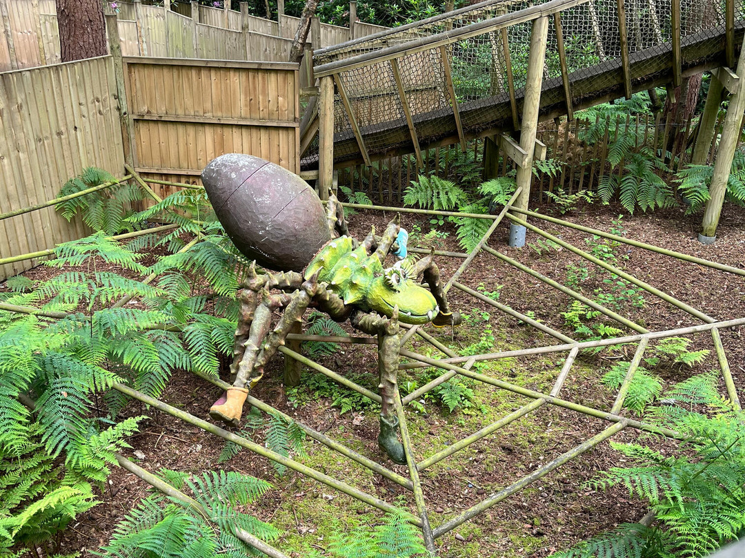 BeWILDerwood Cheshire景点图片