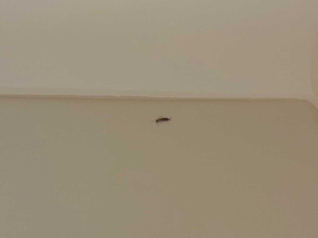斯潘霍旅馆主图