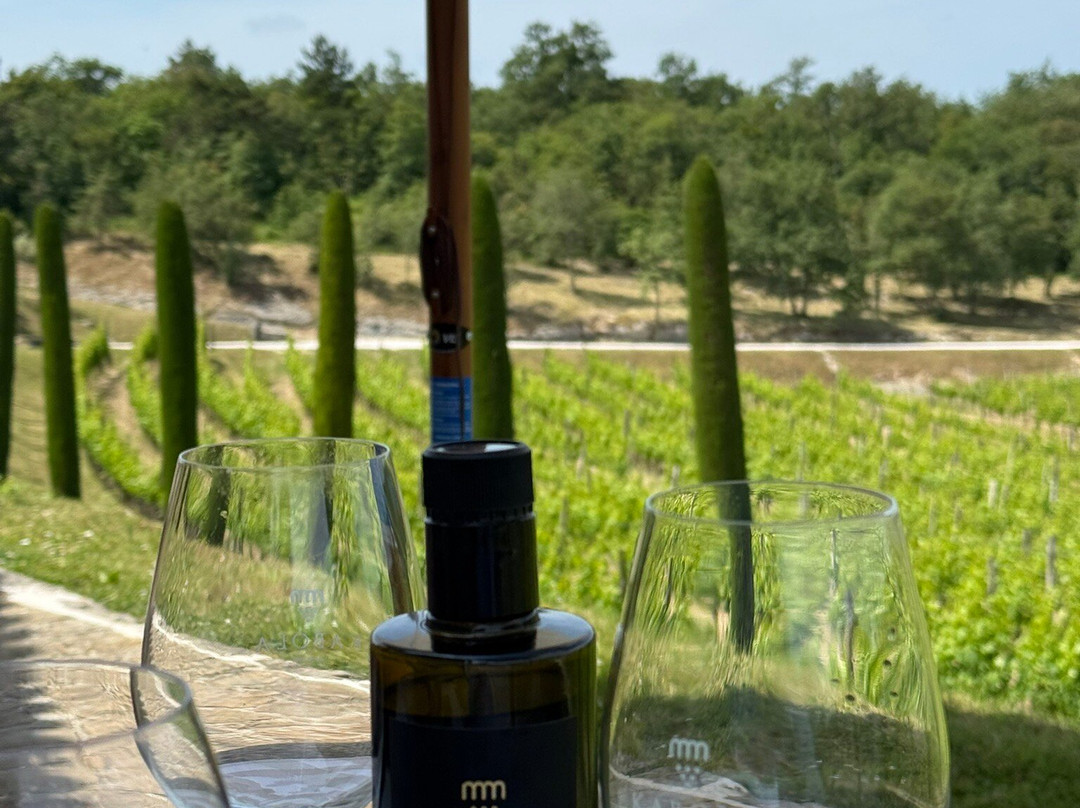 Kabola Winery-Momjan必去景点