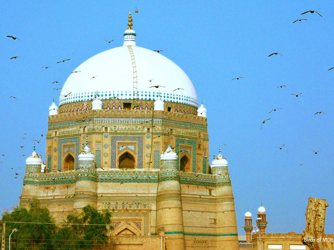 Tomb Shah Rukne Alam-Multan必去景点