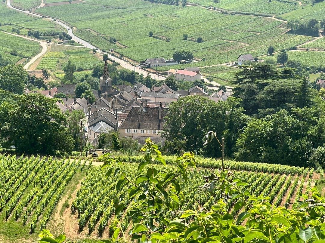 Chemins de Bourgogne景点图片