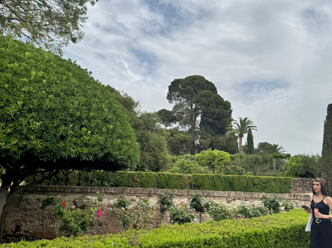 Andalussecret Arabic Alhambra Guide-格拉纳达必去景点